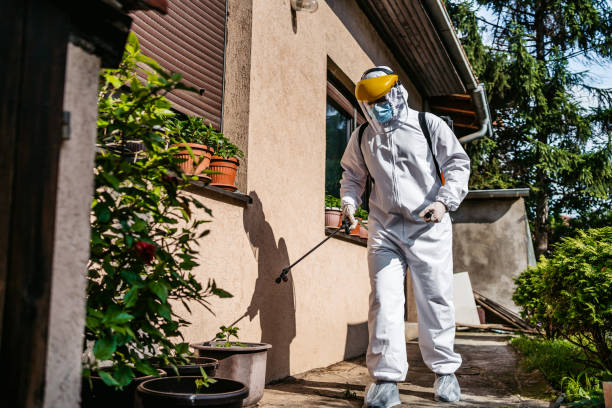 Bird Control in Goose Creek, SC