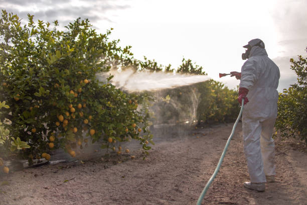 Best Exterminator Services  in Goose Creek, SC