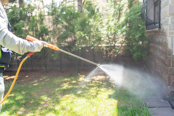 Best Best Pest Control Companies  in Goose Creek, SC
