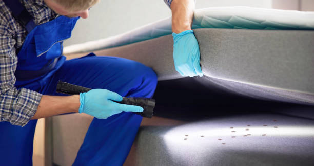 Trusted Goose Creek, SC Pest Control Experts