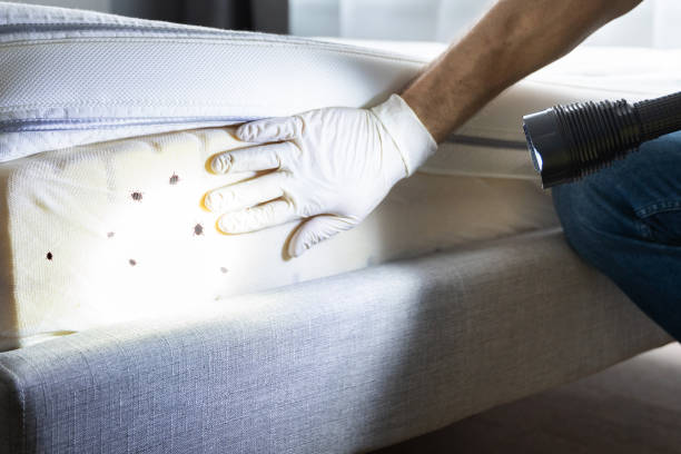  Goose Creek, SC Pest Control Pros