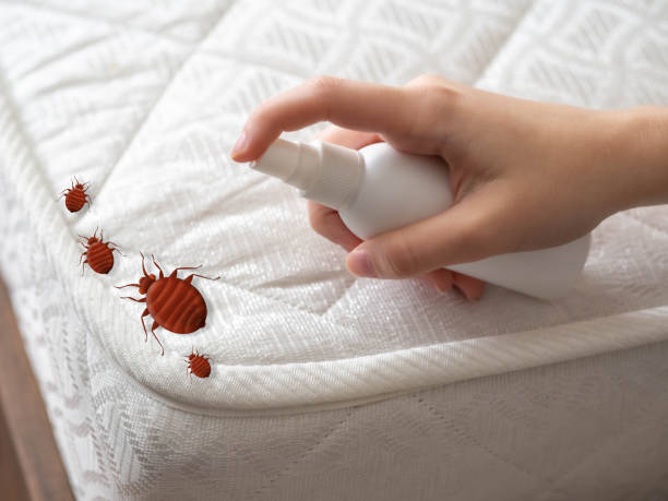 Best Wasp Removal Services  in Goose Creek, SC