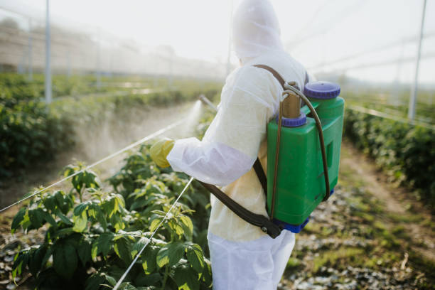 Best Affordable Pest Control Services  in Goose Creek, SC